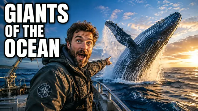 Giants of the ocean